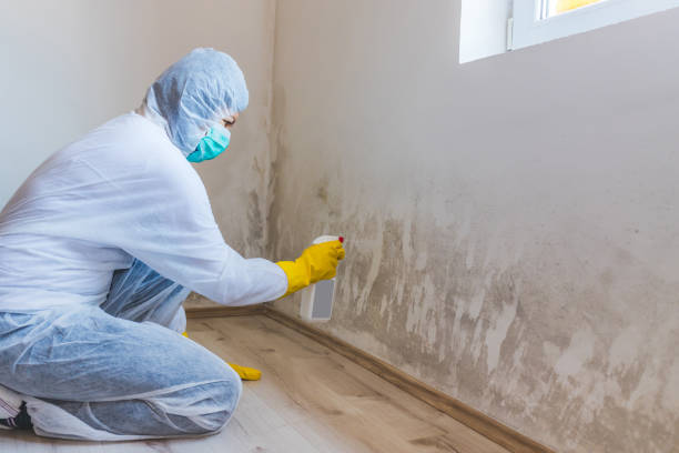 Licensed Bathroom Mold Removal service in Georgetown, PA - WQB Mold Removal