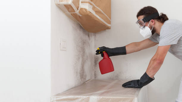 Professional Bathroom Mold Removal technician working in Georgetown, PA