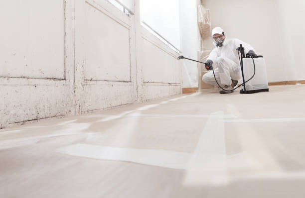 24/7 Emergency Bathroom Mold Removal experts in Georgetown, PA