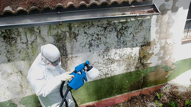 Top rated local Bathroom Mold Removal specialists in Georgetown, PA